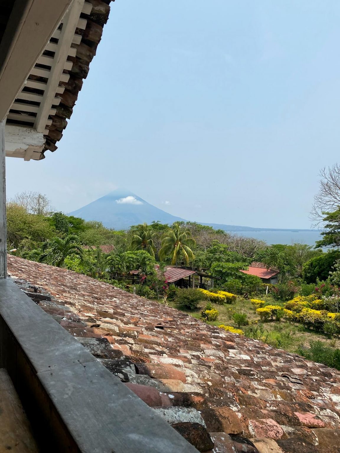 Nicaraguan Coffee: The Ultimate Guide - Hidden Nicaragua